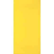 Супер глянцевый HPL пластик Greenlam 207 - Divine Yellow